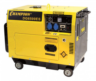 Запчасти для генератора дизельного CHAMPION DG-6500ES